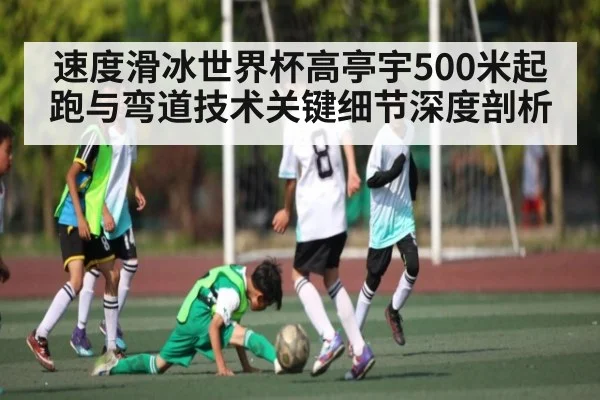 速度滑冰世界杯高亭宇500米起跑与弯道技术关键细节深度剖析
